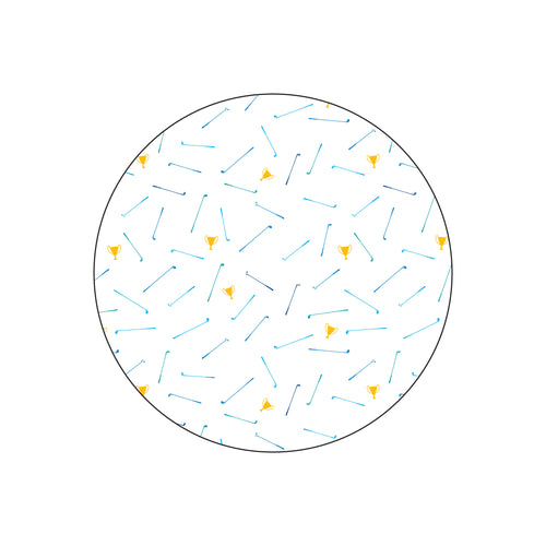 Champion Trophy - Polo